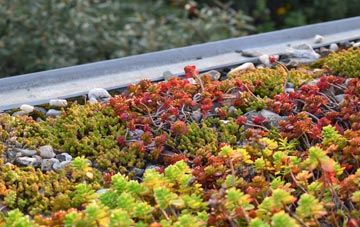 the cost of Glenross green roof installation