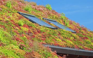 Glenross living roof systems