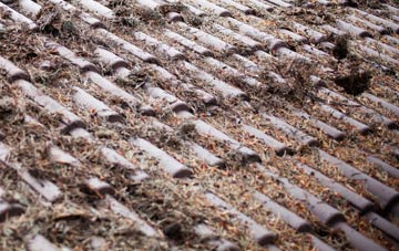 Glenross roof cleaning companies