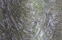 Glenross fibreglass roof work